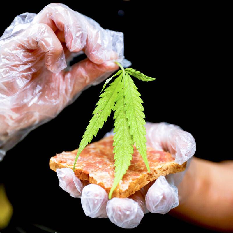 ссылка mega дарк нет